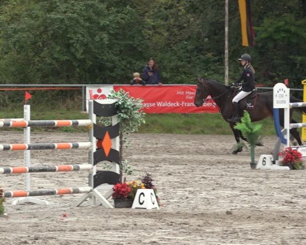 Reitturnier Bad Wildungen 2024