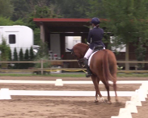 Reitturnier Altlandsberg 2024
