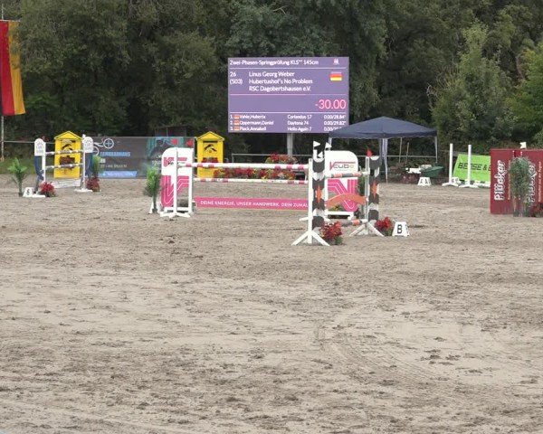 Reitturnier Bad Wildungen 2024