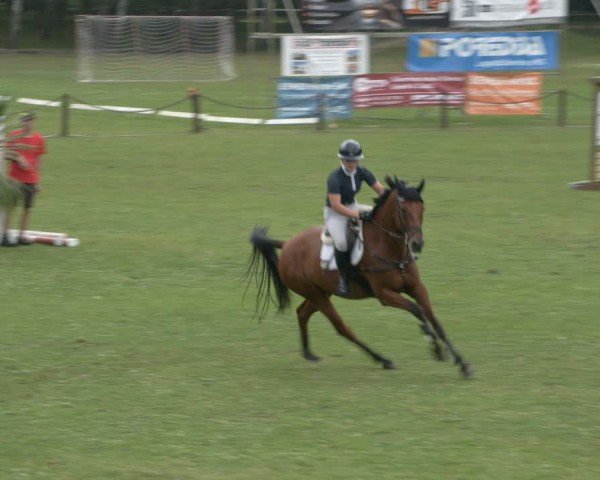 Reitturnier Gallinchen 2024