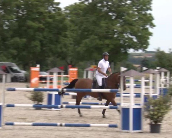 Reitturnier Rot am See Musdorf 2024