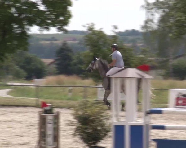 Reitturnier Rot am See Musdorf 2024