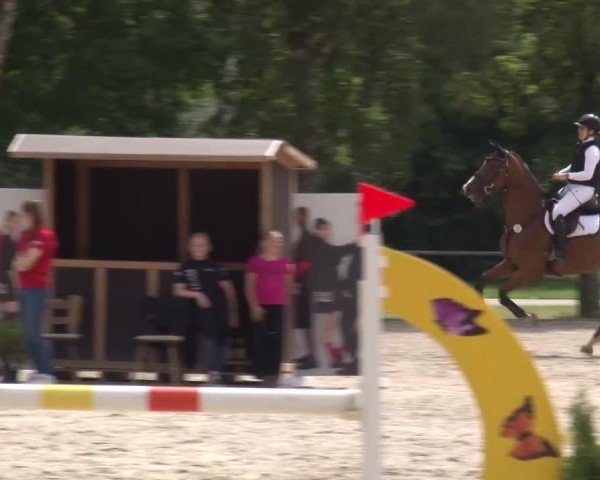 Reitturnier Rot am See Musdorf 2024