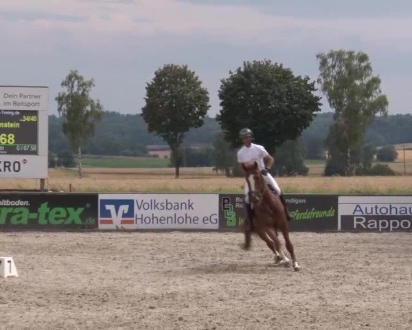 Reitturnier Rot am See Musdorf 2024