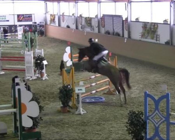 Ravensberger Pferdetage 2013