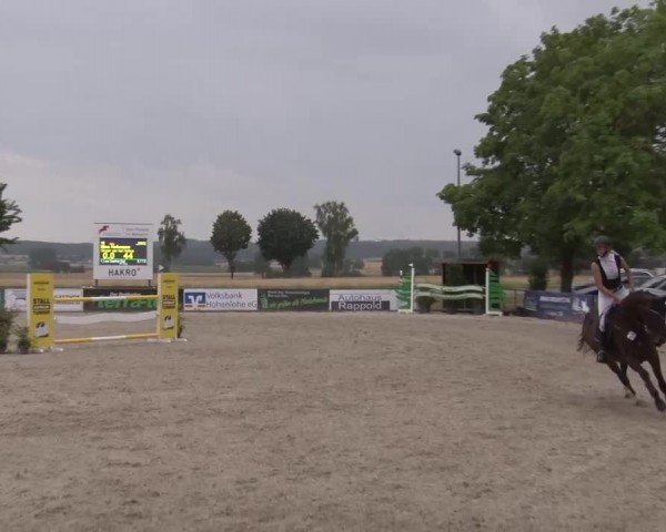 Reitturnier Rot am See Musdorf 2024