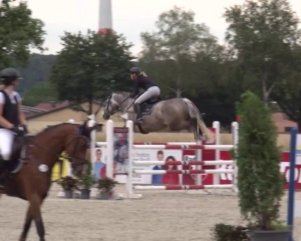 Reitturnier Rot am See Musdorf 2024
