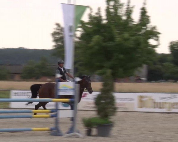 Reitturnier Rot am See Musdorf 2024