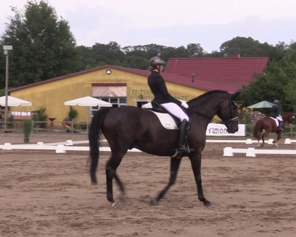 Reitturnier Altlandsberg 2024