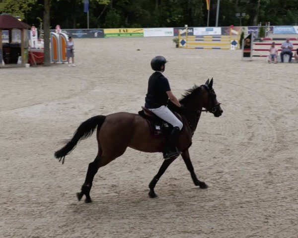 Reitturnier Karlsfeld/Obb. 2024