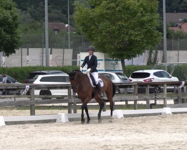 Reitturnier Balsthal 2024