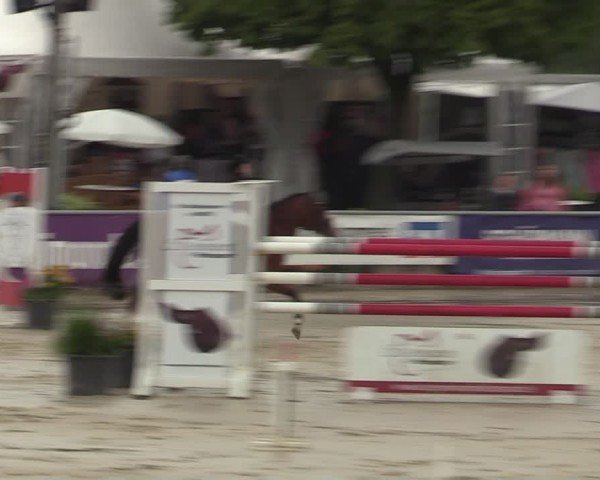 Reitturnier Olfen-Vinnum 2024