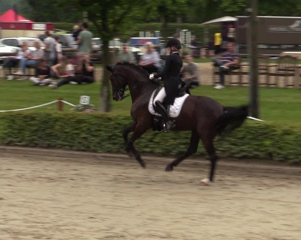 Reitturnier Olfen-Vinnum 2024