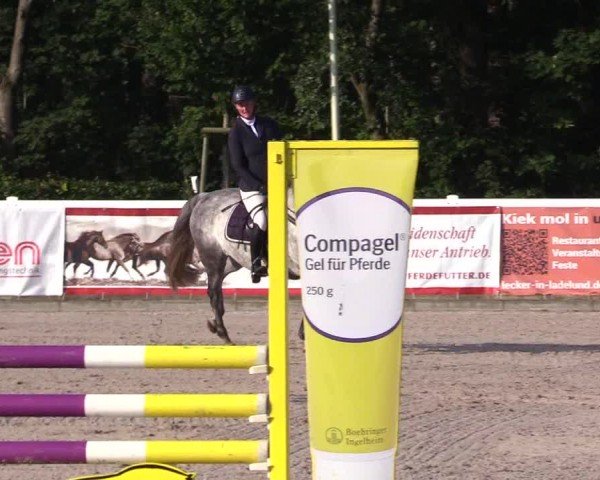 Reitturnier Ladelunder Springtage 2024