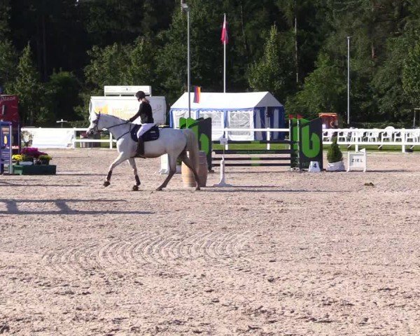 Reitturnier Ladelunder Springtage 2024