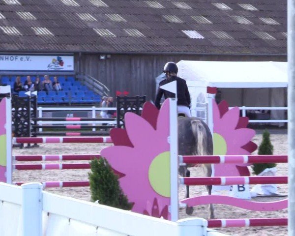 Reitturnier Ladelunder Springtage 2024