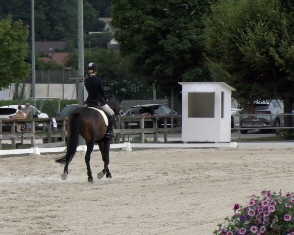 Reitturnier Balsthal 2024