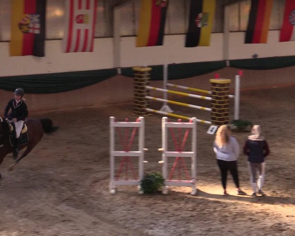 Reitturnier Wollersleben 2021
