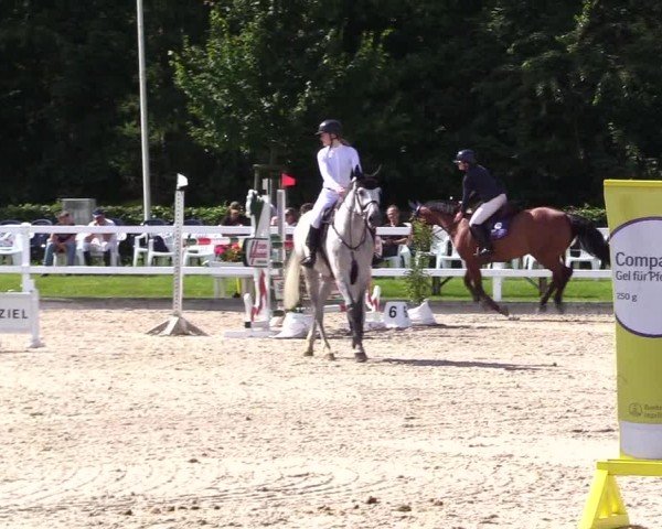 Reitturnier Ladelunder Springtage 2024