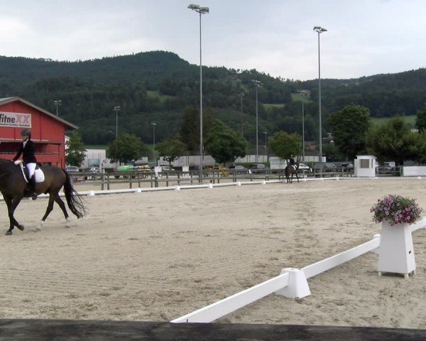 Reitturnier Balsthal 2024
