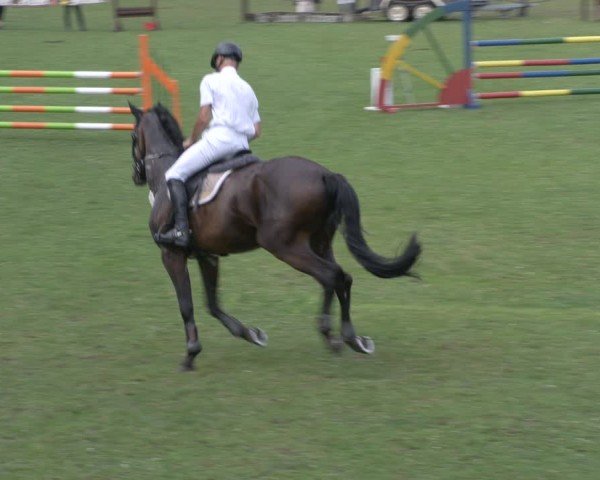 Reitturnier Gallinchen 2024