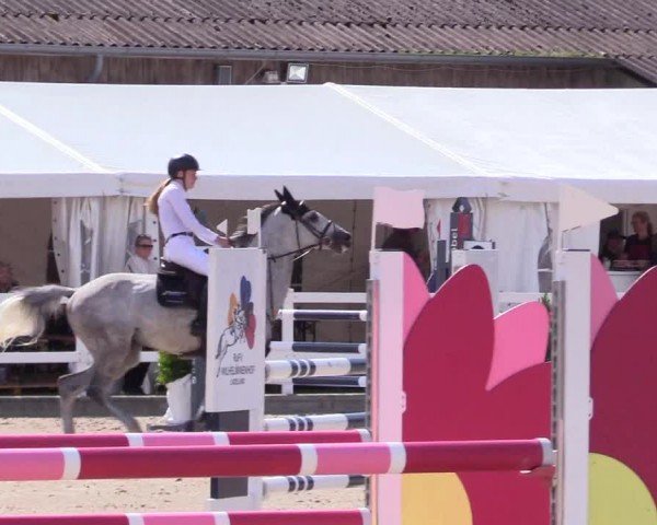 Reitturnier Ladelunder Springtage 2024