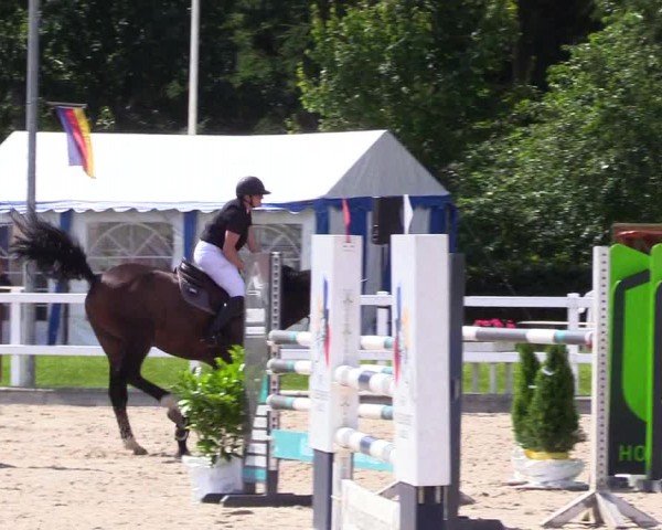 Reitturnier Ladelunder Springtage 2024