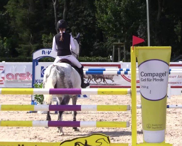 Reitturnier Ladelunder Springtage 2024