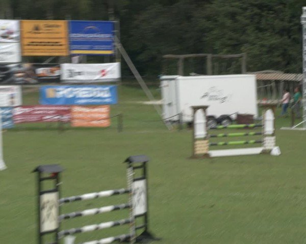 Reitturnier Gallinchen 2024