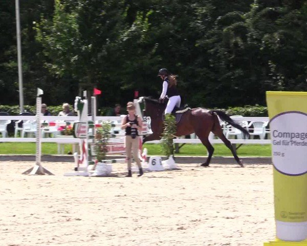 Reitturnier Ladelunder Springtage 2024