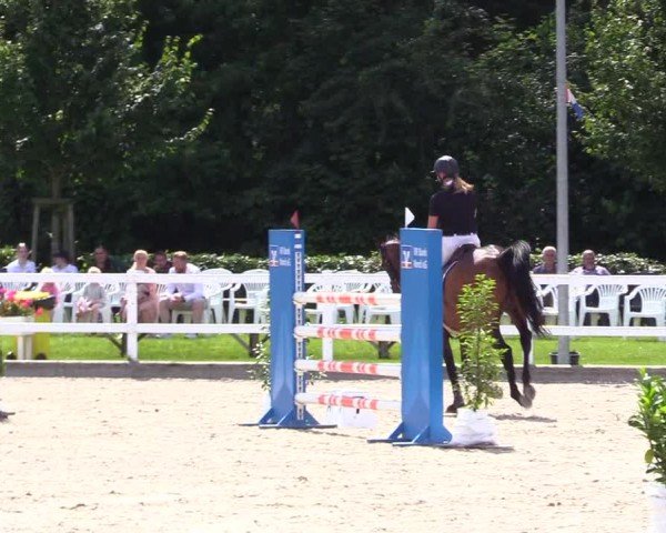 Reitturnier Ladelunder Springtage 2024