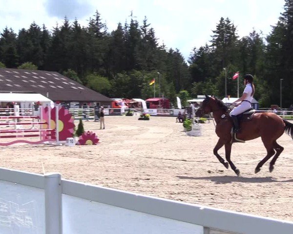 Reitturnier Ladelunder Springtage 2024