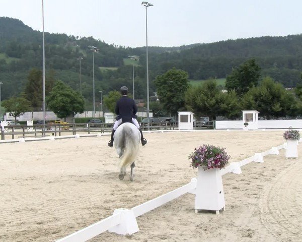 Reitturnier Balsthal 2024