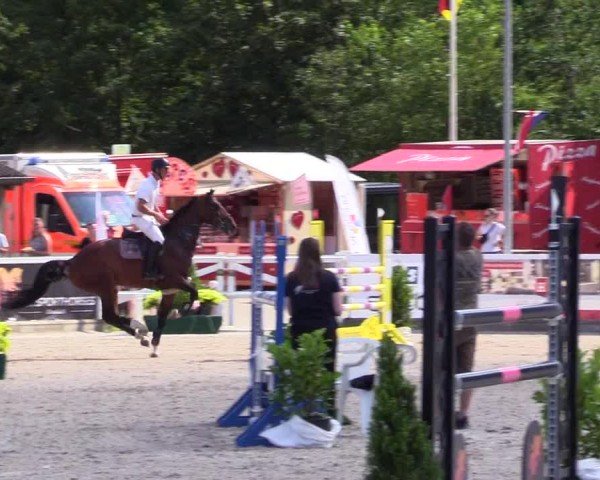 Reitturnier Ladelunder Springtage 2024