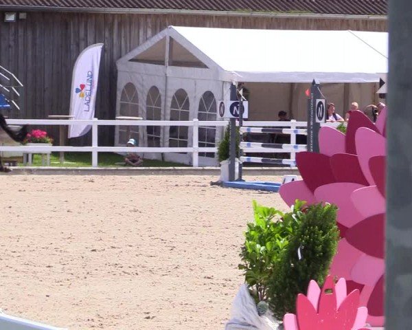 Reitturnier Ladelunder Springtage 2024