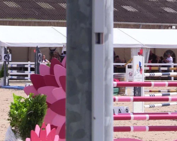 Reitturnier Ladelunder Springtage 2024