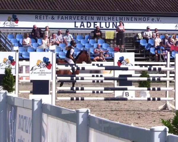 Reitturnier Ladelunder Springtage 2024