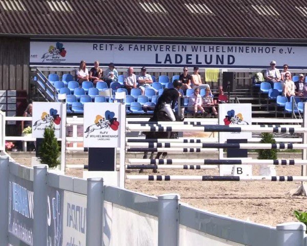 Reitturnier Ladelunder Springtage 2024
