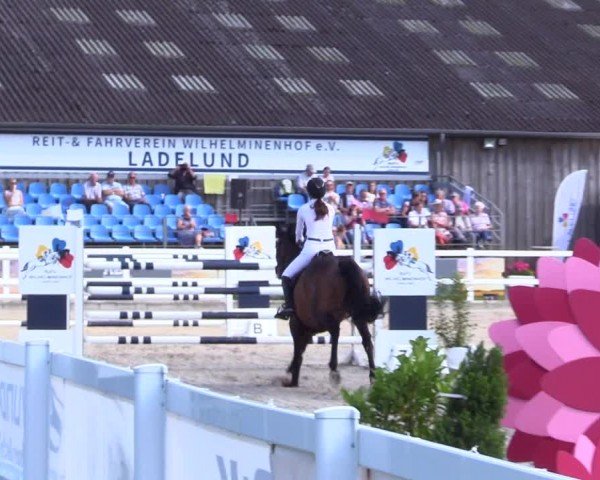 Reitturnier Ladelunder Springtage 2024