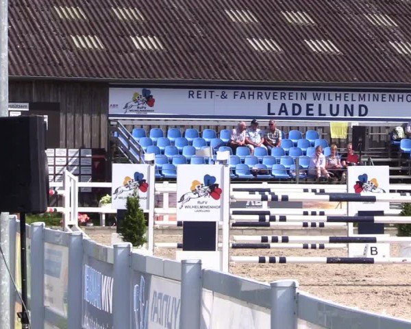 Reitturnier Ladelunder Springtage 2024
