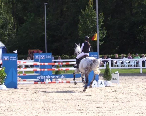 Reitturnier Ladelunder Springtage 2024