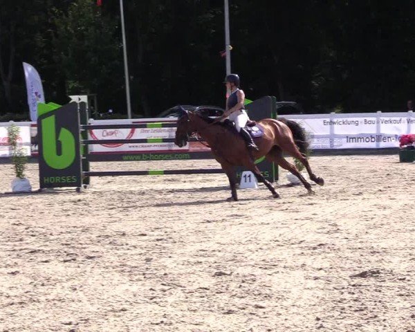 Reitturnier Ladelunder Springtage 2024