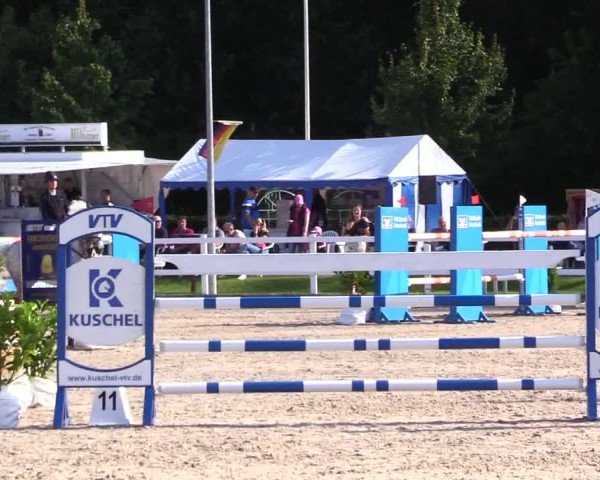 Reitturnier Ladelunder Springtage 2024