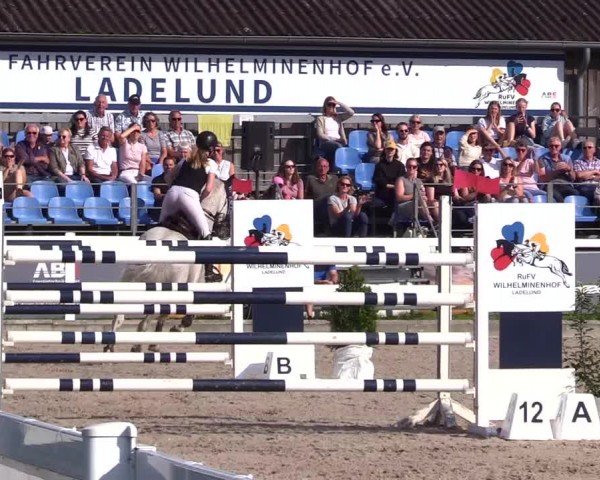 Reitturnier Ladelunder Springtage 2024