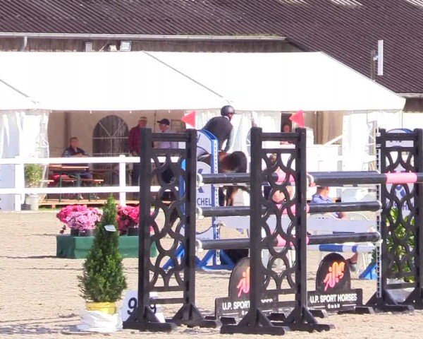 Reitturnier Ladelunder Springtage 2024