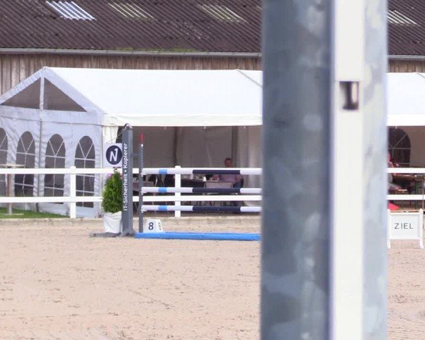 Reitturnier Ladelunder Springtage 2024