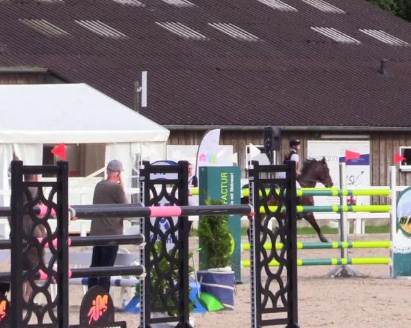 Reitturnier Ladelunder Springtage 2024