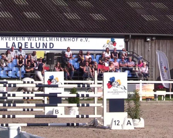 Reitturnier Ladelunder Springtage 2024
