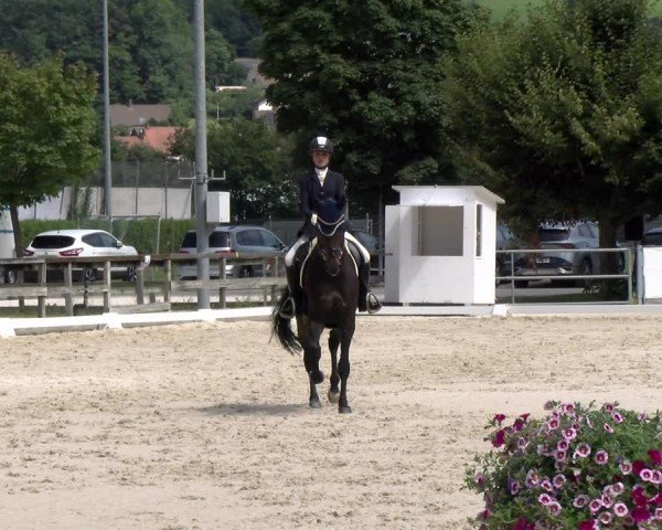 Reitturnier Balsthal 2024
