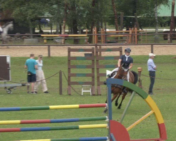 Reitturnier Gallinchen 2024